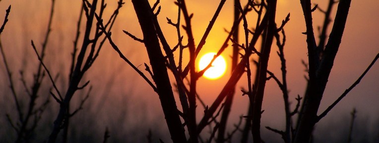 Contact, Gill Seaton, Gill Seaton-Jardine, Gill Jardine, Counselling, Counsellor, Psychotherapy, Therapy, Guildford, Surrey, BACP Accredited, NHS Registered, Bupa, Supervision, Supervising, Personal Support