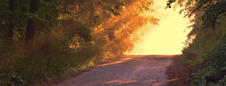 Gill Seaton, Gill Seaton-Jardine, Gill Jardine, Adult Counselling, Adolescent Counselling, Child Counselling, Supervision, MBACP Accredited, Surrey