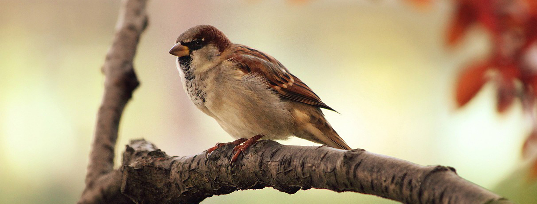 Gill Seaton, Gill Seaton-Jardine, Gill Jardine, Child Counselling, Adolescent Counselling, Supervision, Supervising, Personal Support, Professional Support, Clinical Work, Counselling, Surrey